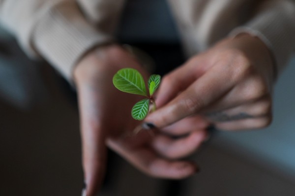 ORBIT zakládá divizi Orbitech