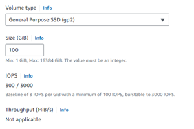 gp2 SSD disk | ORBIT