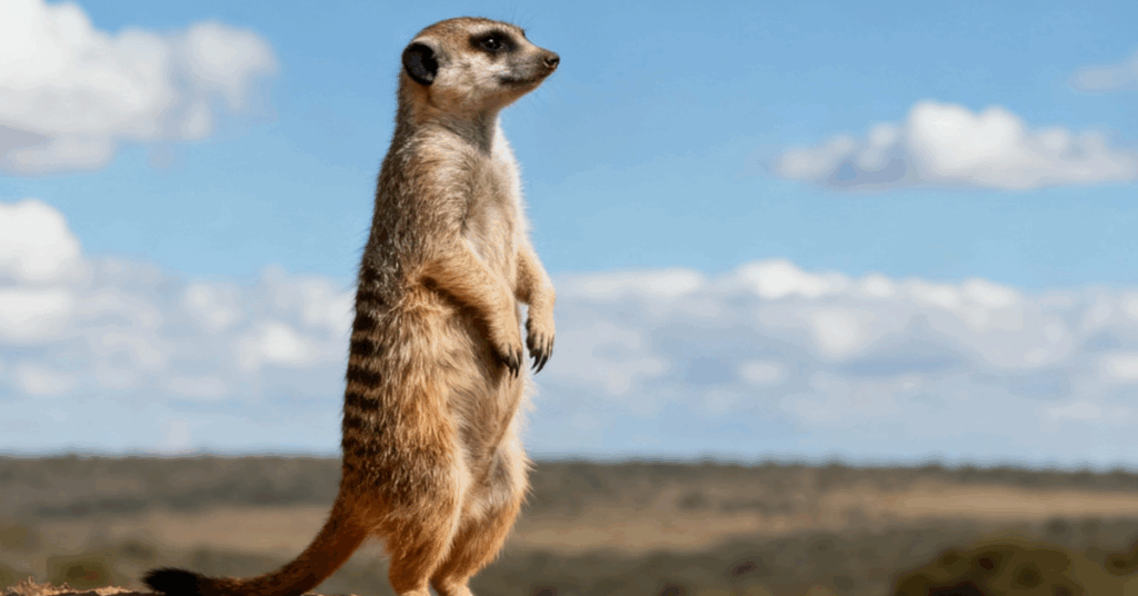 Bezpečný Azure? Začněte s cloud security posture managementem | ORBIT 