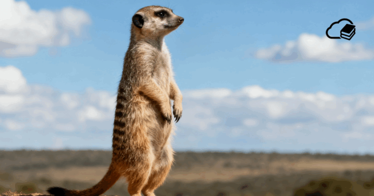 Bezpečný Azure? Začněte s cloud security posture managementem | ORBIT1